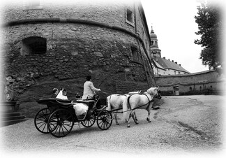 Kočár se svatebčany na nádvoří zámku, foto Martin Hurdálek
